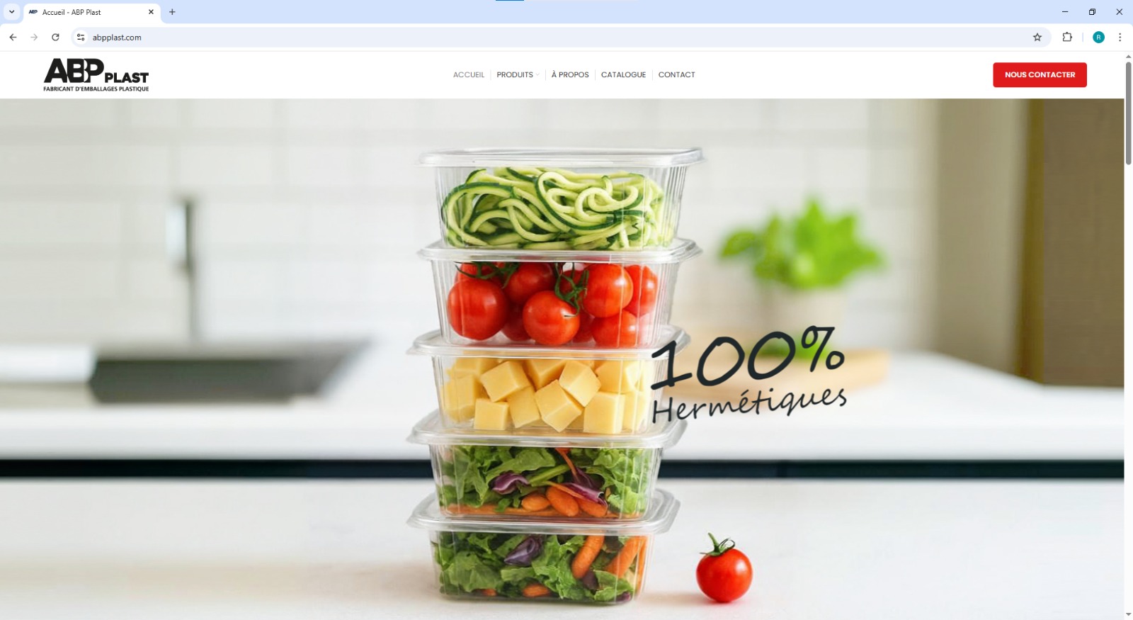 Site web AbpPlast Tindi