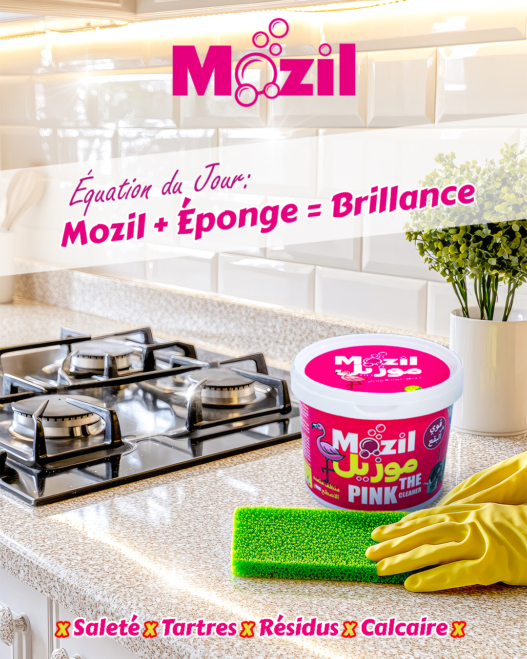 Mozil Algérie Tindi Agency