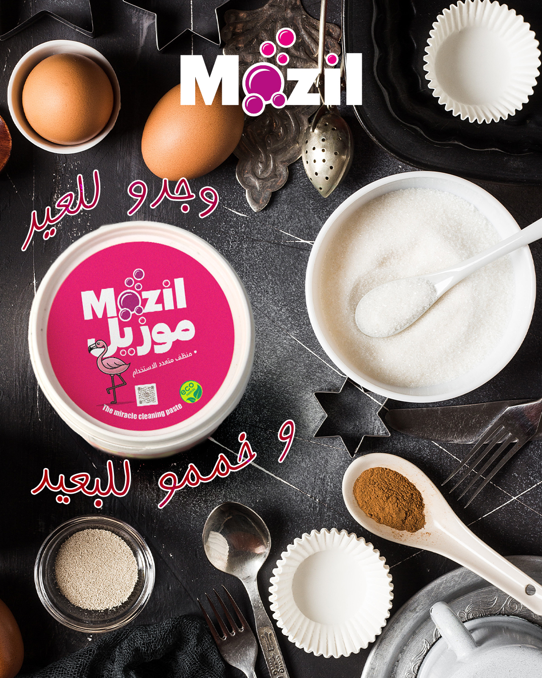 Mozil Algérie Tindi Agency