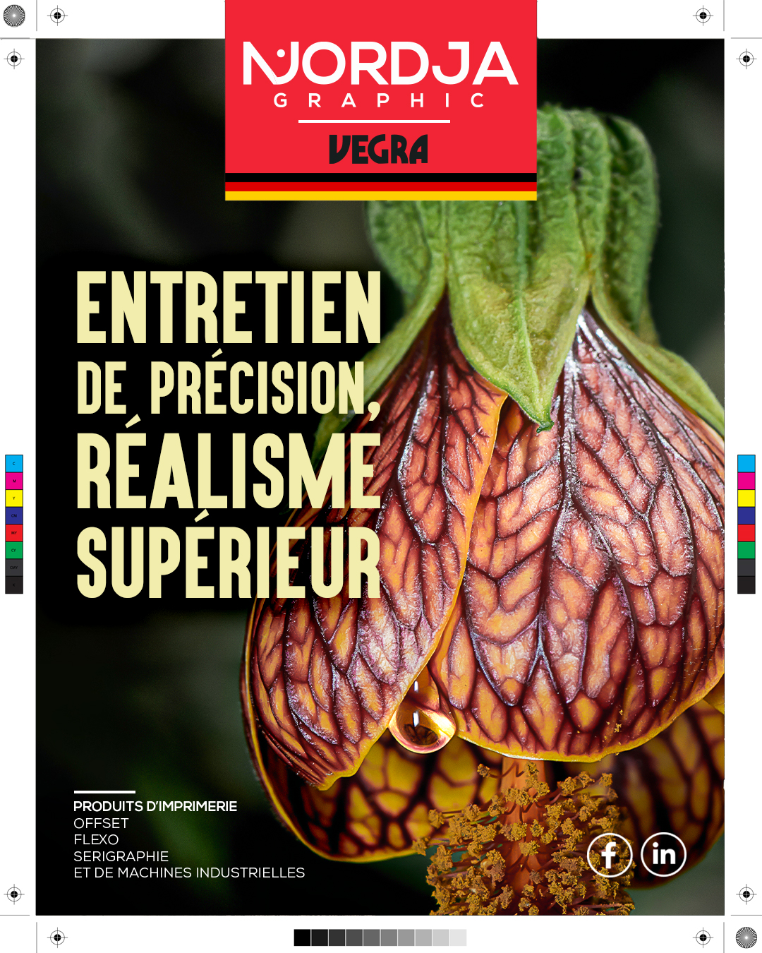 Nordja Graphic Tindi Agency Algérie