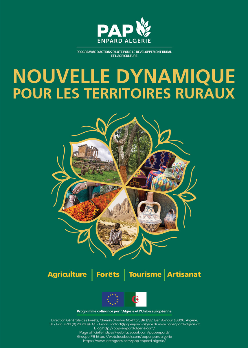 Création Graphique Alger, Affiche publicitaire